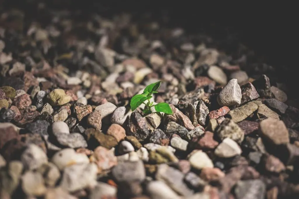 discover the power of determination and its impact on your personal and professional success. learn how to cultivate this essential quality to overcome obstacles and achieve your goals.