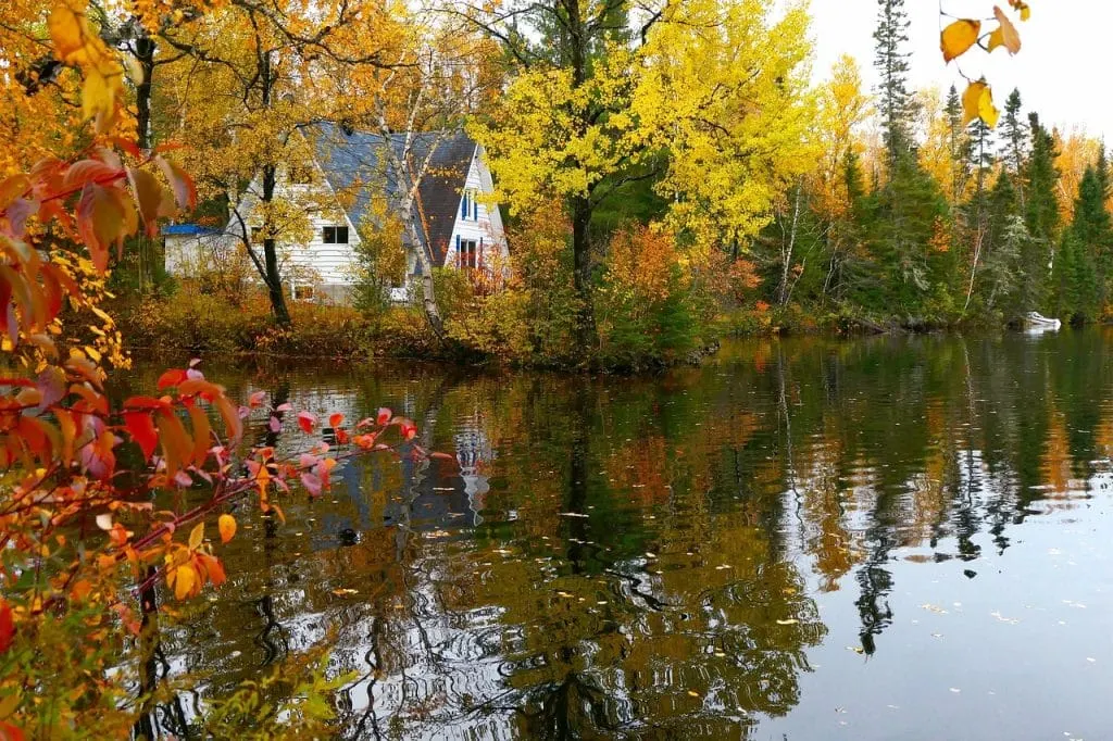 Descubra Canadá, un país con paisajes impresionantes, rico en cultura e historia. explore sus vibrantes ciudades, majestuosos parques y diversidad natural. Ya seas un apasionado del aire libre, un amante de la gastronomía o un curioso de las tradiciones, Canadá te ofrece una experiencia inolvidable.