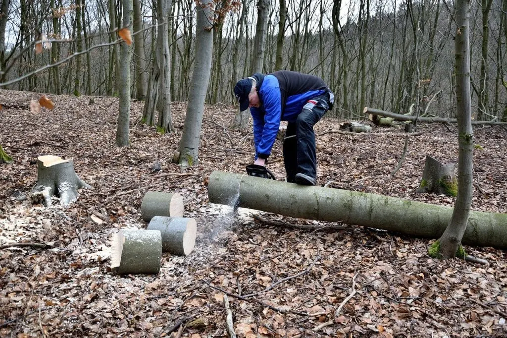 Discover the world of chainsaws: buying advice, safe use, and maintenance for optimal performance. Whether you're a professional or a hobbyist, find the right tool for your needs.