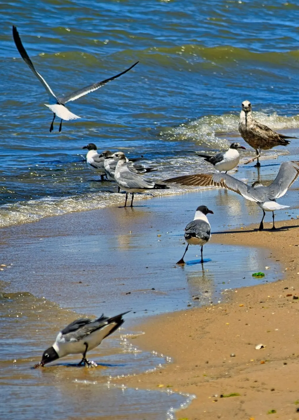 Descubra Delaware, un estado fascinante de los Estados Unidos, conocido por sus hermosas playas, su rica historia y sus encantadores pueblos. explora sus atractivos culturales y naturales, y déjate seducir por sus variados paisajes y atmósfera única.