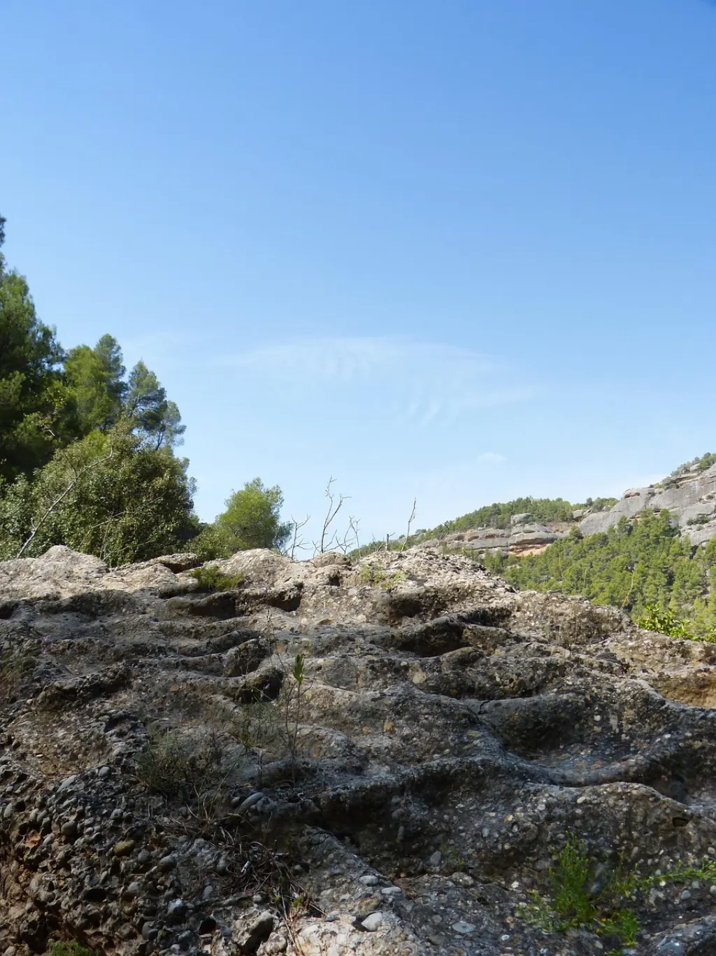 découvrez le monde fascinant des conglomérats, des roches sédimentaires formées par la combinaison de diverses particules. apprenez comment leur formation historique et leurs caractéristiques uniques influencent l'environnement géologique. idéal pour les passionnés de géologie et les curieux de la nature.