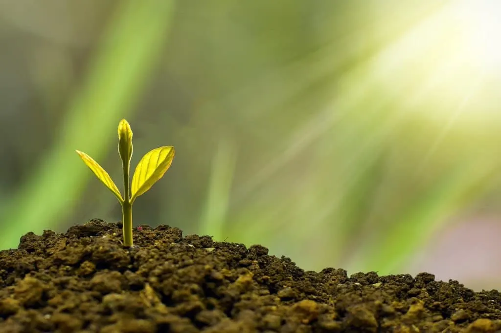 Importance of diversified financing: