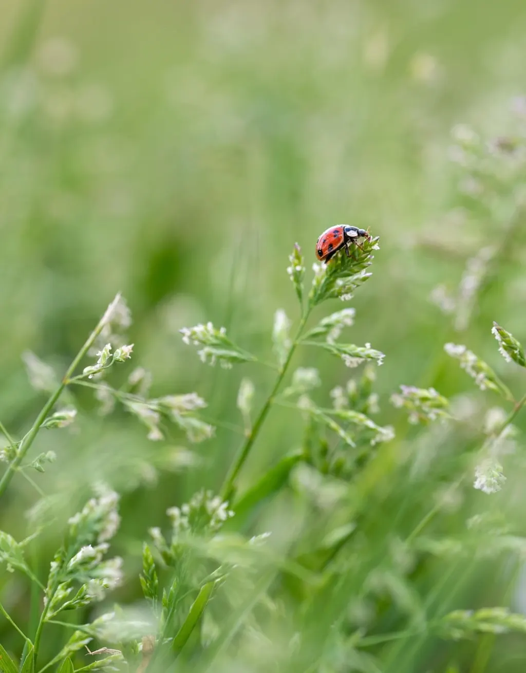 découvrez comment les petites entreprises peuvent prospérer grâce à des conseils pratiques, des stratégies de marketing efficaces et des ressources adaptées pour réussir dans un environnement concurrentiel.
