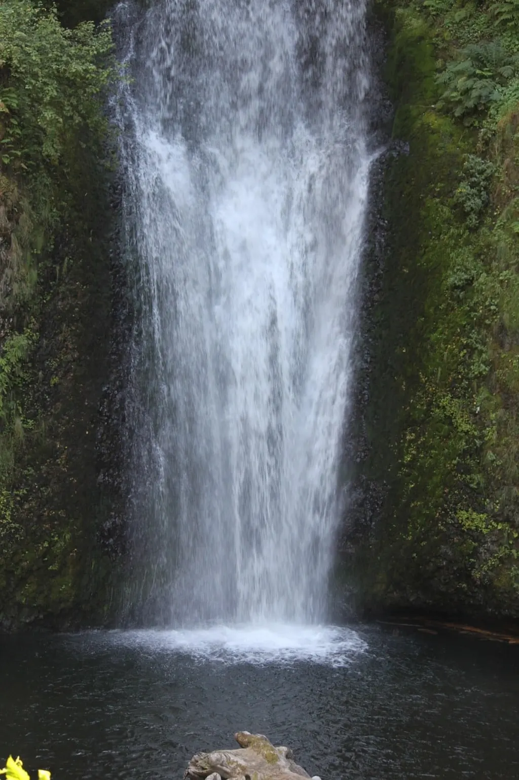 découvrez comment bâtir et maintenir une réputation d'entreprise solide en oregon. apprenez des stratégies essentielles et des conseils d'experts pour améliorer votre image de marque et fidéliser vos clients.
