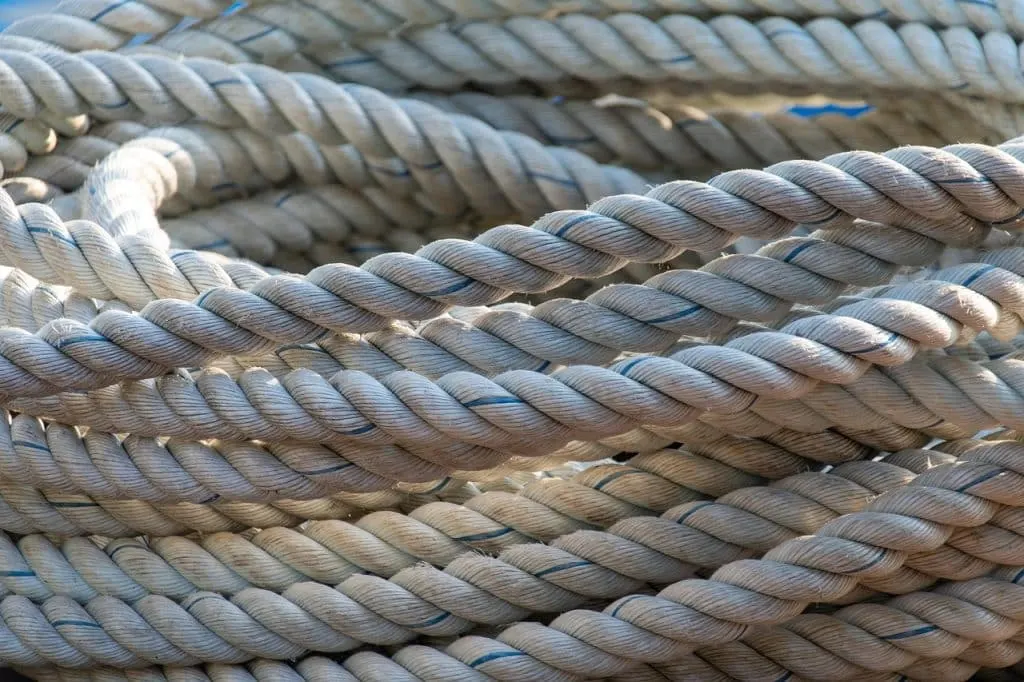 to explore new markets to diversify their risks. Furthermore, there may be growing interest in reshoring supply chains, which could also benefit neighboring countries like Vietnam, which have proven capable of seizing these opportunities at the expense of trading giants.