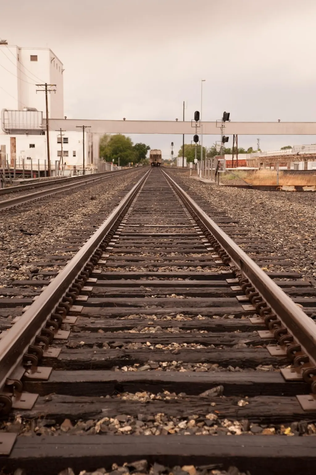 Businesses can benefit in several ways by partnering. These commitments allow for shared promotional costs while maximizing impact. Here are some key benefits: