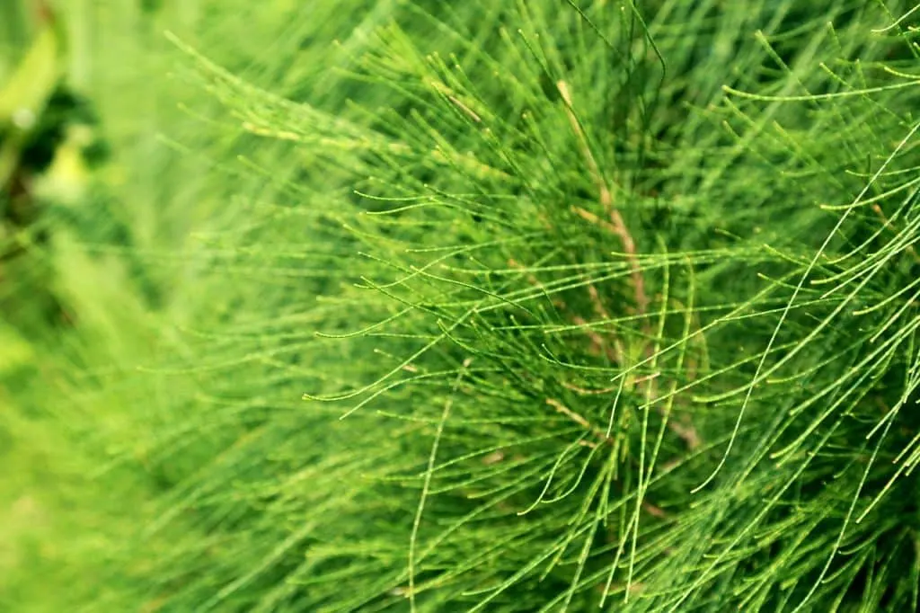 découvrez tout sur la vitalité : conseils, astuces et solutions naturelles pour booster votre énergie au quotidien et améliorer votre bien-être physique et mental.