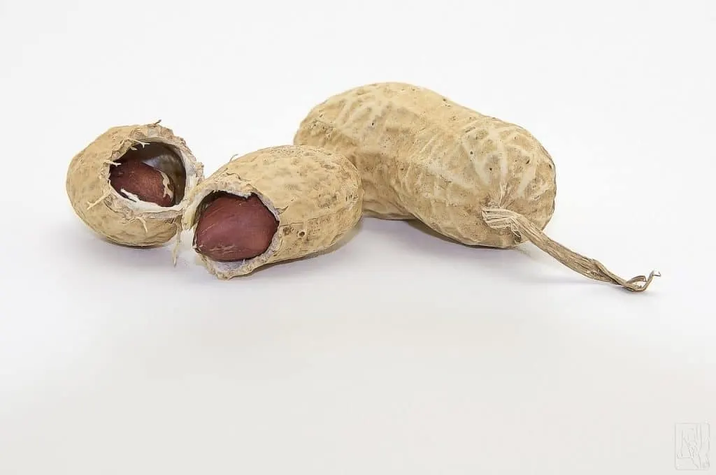 participez au peanut festival, un événement festif dédié à l’arachide avec des dégustations, animations familiales et découvertes gastronomiques. idéal pour toute la famille !
