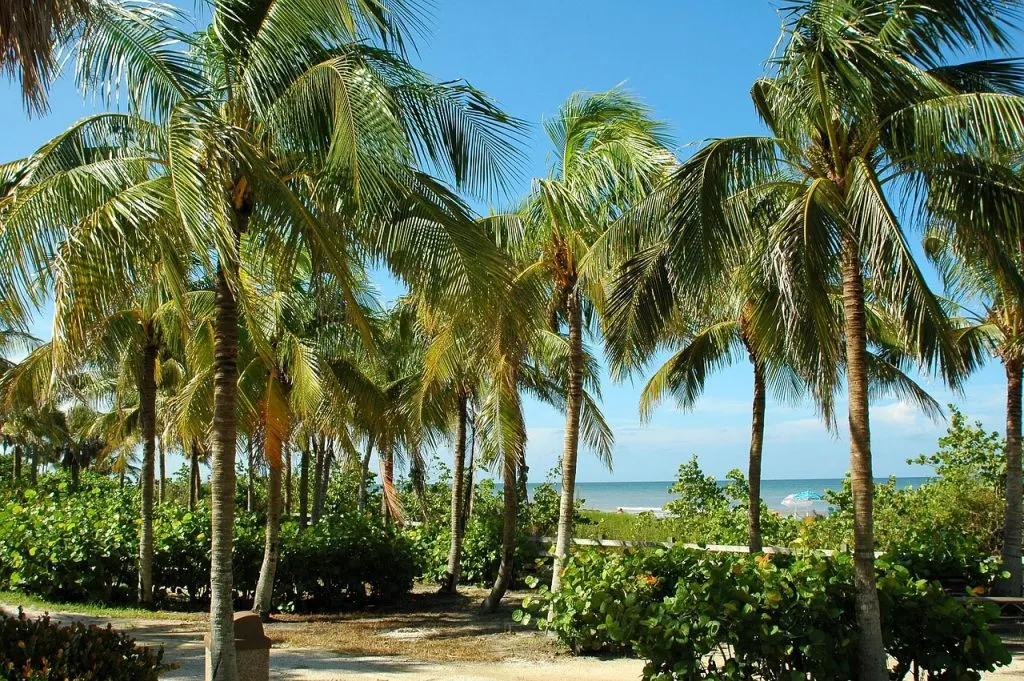 In just five years, Palm Beach County has seen the relocation of more than 140 companies and the creation of more than 13,000 direct jobs. These figures illustrate the economic potential of this region and demonstrate its growing attractiveness. Furthermore, with investments exceeding $1.12 billion, observers believe West Palm Beach is positioning itself as a true financial and technological hub.