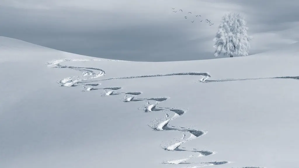 découvrez tout sur la neige : météo, activités hivernales, conseils et bien plus pour profiter pleinement de l'hiver.