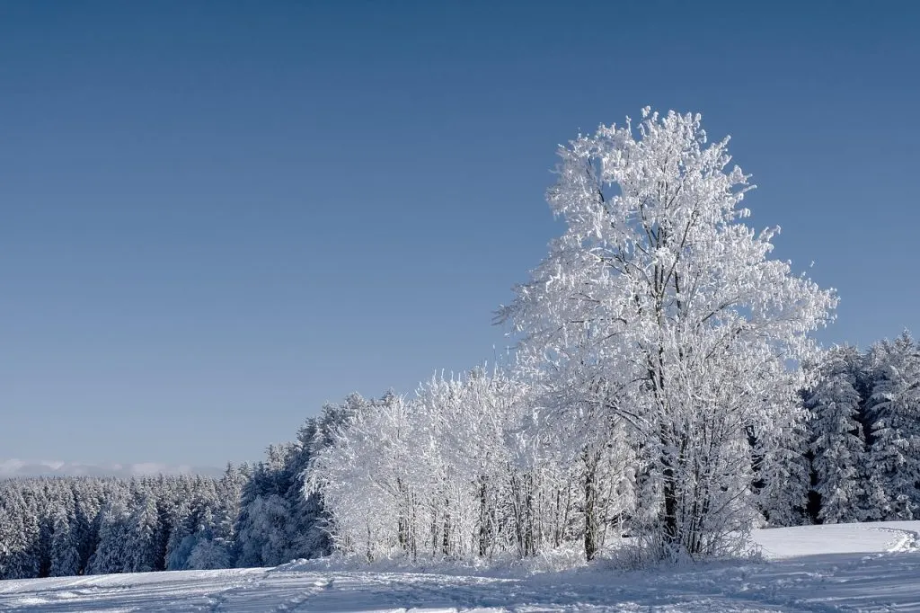 découvrez tout sur la neige : phénomènes, sports d'hiver, astuces et bien plus pour profiter pleinement de la saison enneigée.