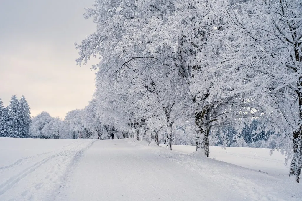 découvrez tout sur la neige : formations, paysages enneigés, activités hivernales et conseils pour profiter pleinement de l'hiver.