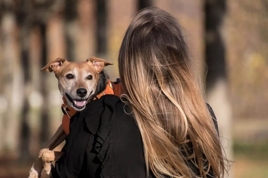 propriétaire de location de vacances : gérez facilement vos biens, optimisez vos revenus et offrez une expérience inoubliable à vos locataires.