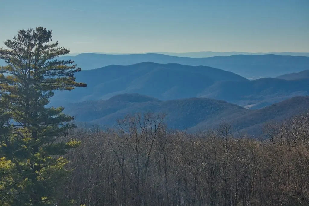 découvrez virginia, une destination riche en histoire, culture et paysages magnifiques. explorez ses attractions uniques et plongez dans une expérience inoubliable.