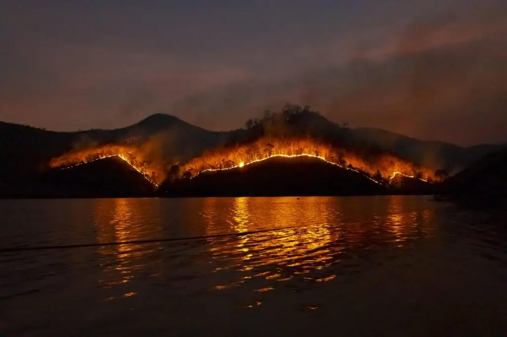 découvrez tout sur les incendies de forêt : causes, conséquences et mesures de prévention pour protéger les espaces naturels et les populations.