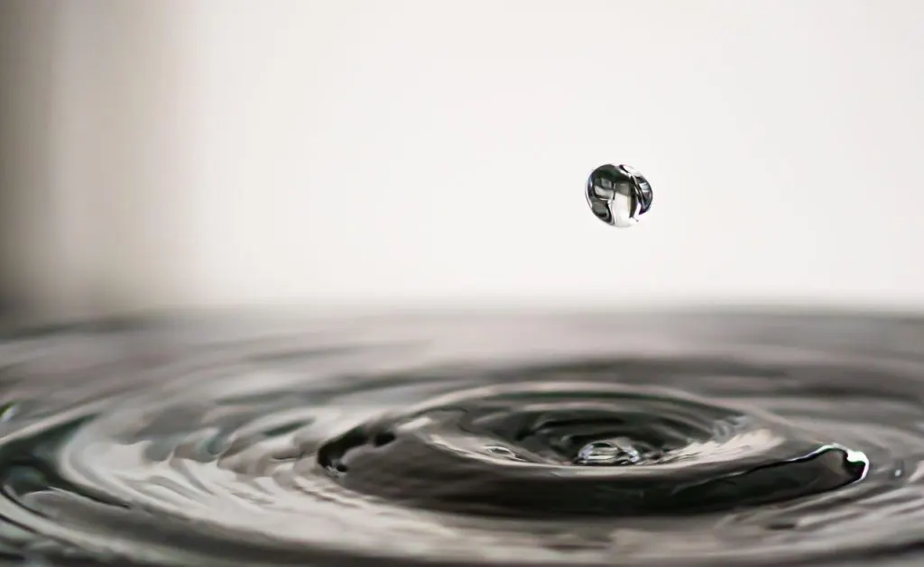 informations et mises à jour sur les coupures d'eau, leurs causes, leurs impacts et les mesures à prendre en cas de coupure.