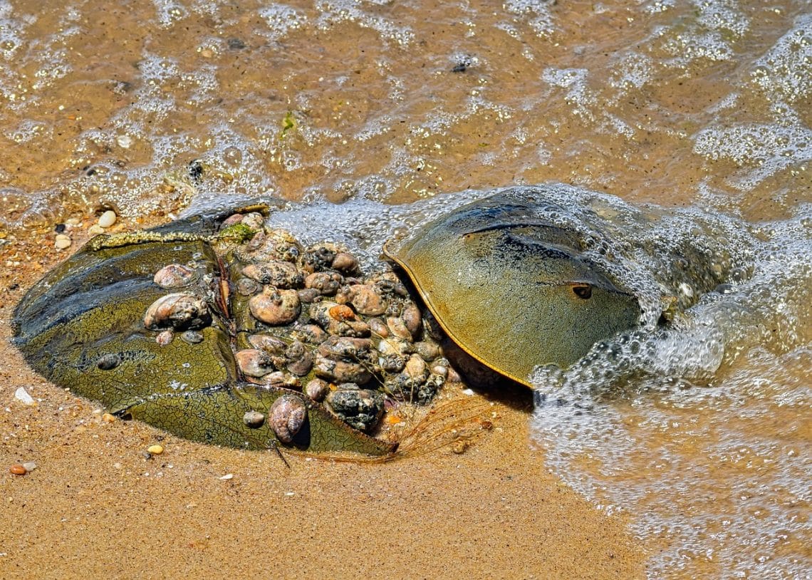 découvrez le delaware, un état emblématique des états-unis connu pour ses plages pittoresques, ses avantages fiscaux et son riche patrimoine historique. explorez ses attractions, sa culture et ses opportunités économiques uniques.