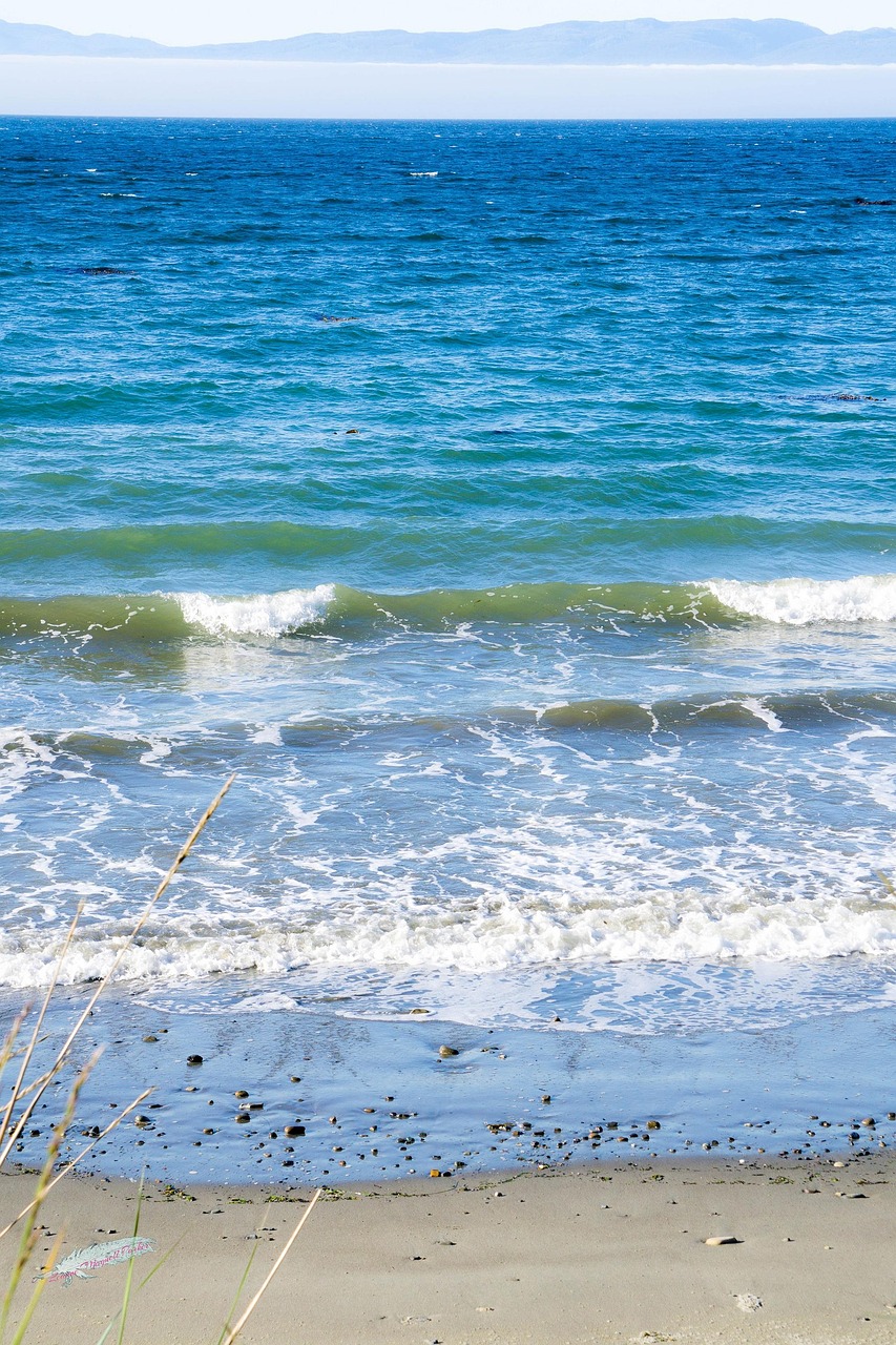 No se trata solo de un arte de seducción; a menudo es una herramienta con objetivos específicos. Al rodearse de las personalidades adecuadas mediante la adulación, los ejecutivos del sector cripto pueden influir en decisiones importantes. Por un lado, esto puede facilitar la obtención de financiación; por otro, crea una fuerte dependencia de su carisma. Por lo tanto, esta dualidad puede ser beneficiosa para el individuo, pero a veces sirve de pretexto para juegos de poder.