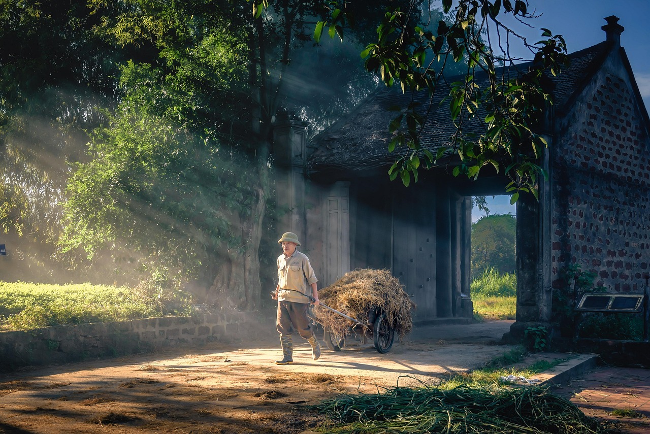 Otro beneficio significativo de madrugar es el aumento de la productividad. Los emprendedores que adoptan este método suelen descubrir que pueden realizar más tareas en menos tiempo. De hecho, las mañanas suelen estar menos plagadas de distracciones. Aquí tienes algunos beneficios comprobados: