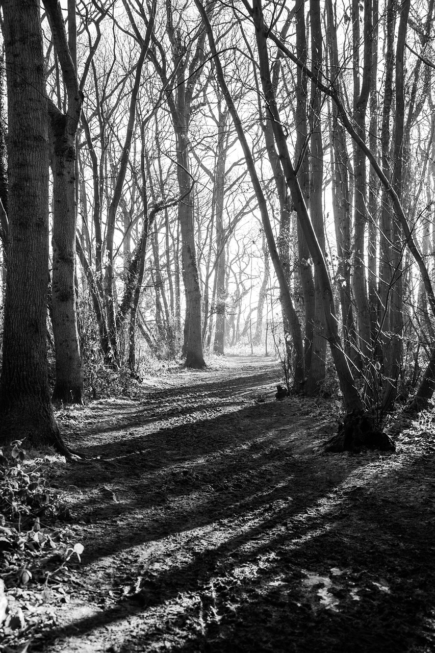 découvrez les entreprises d'essex : services, conseils et actualités pour stimuler la croissance de votre société dans la région d'essex.