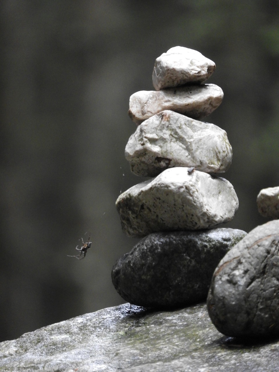 découvrez la signification et l'importance de la stabilité dans divers domaines : économie, psychologie, relations et plus encore. comprenez comment atteindre et maintenir la stabilité au quotidien.