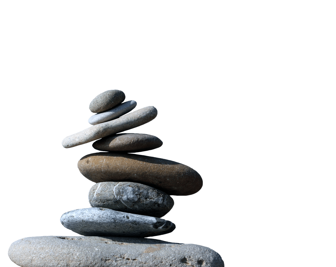 Promover políticas fiscales justas para restablecer la confianza pública