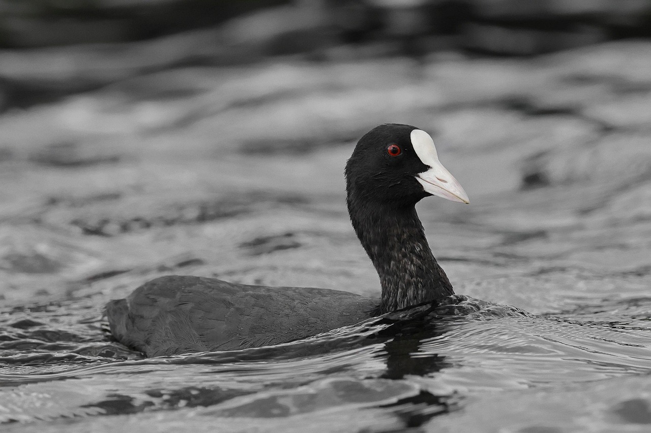 Medidas de protección al consumidor