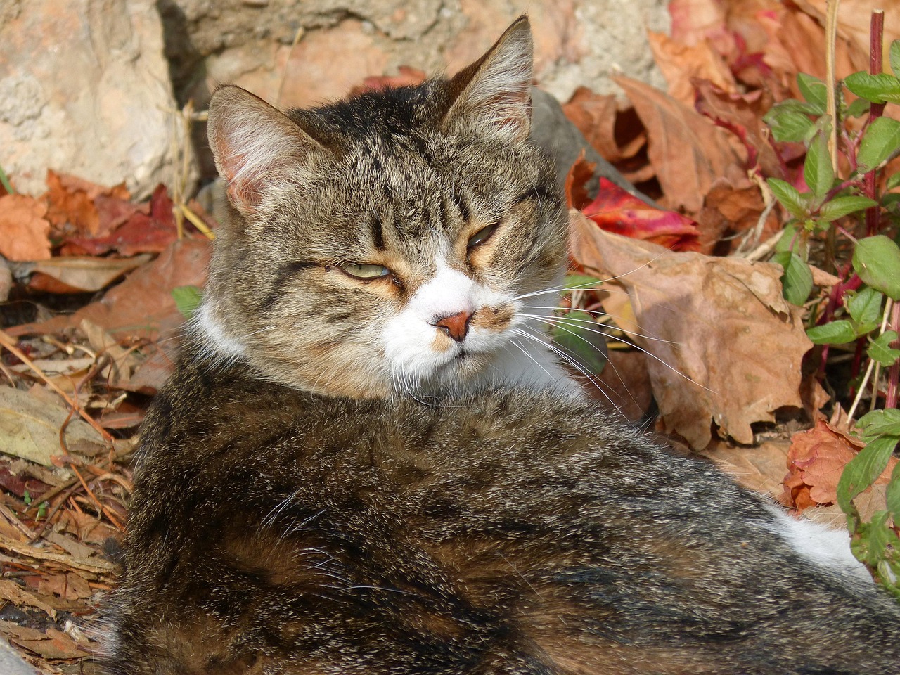 découvrez la signification du terme 'disdain' : un sentiment de mépris ou de dédain envers quelque chose ou quelqu'un jugé inférieur ou indigne.