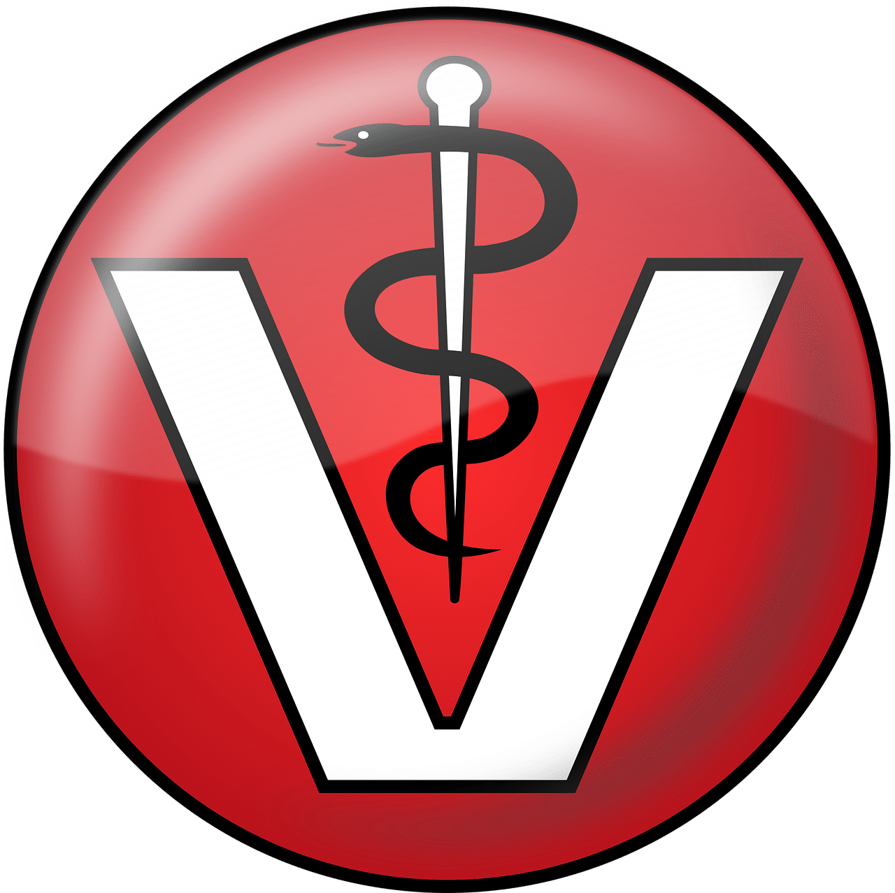 Para destacar esta evolución, es fundamental examinar los casos prácticos de veterinarios que se encuentran en una situación precaria ante estos cambios. Al analizar la situación de las clínicas en zonas urbanas densamente pobladas, podemos observar cómo algunos veterinarios luchan por mantener la calidad de su atención, bajo la presión de grupos inversores que buscan maximizar su rentabilidad a toda costa.