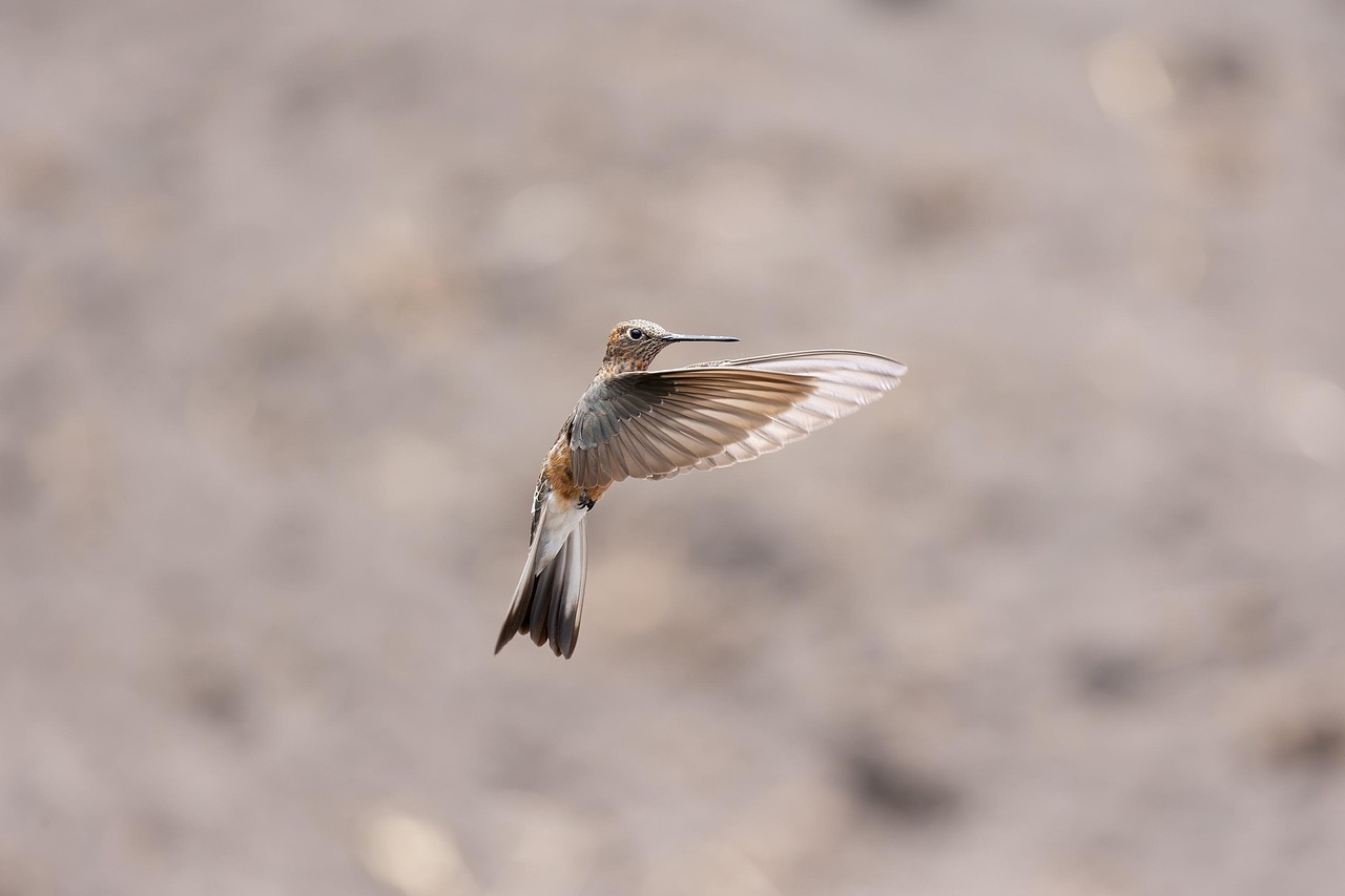 Esta tendencia viene acompañada de una creciente necesidad de seguridad de los datos. La forma en que las empresas gestionan estos desafíos sin duda variará de una empresa a otra. Además, con el auge de las tecnologías blockchain, algunas empresas están comenzando a explorar modelos de negocio innovadores que prometen una mayor transparencia. Un buen ejemplo son las nuevas startups que están integrando blockchain en sus sistemas de gestión, haciendo que las transacciones sean más seguras y eficientes.