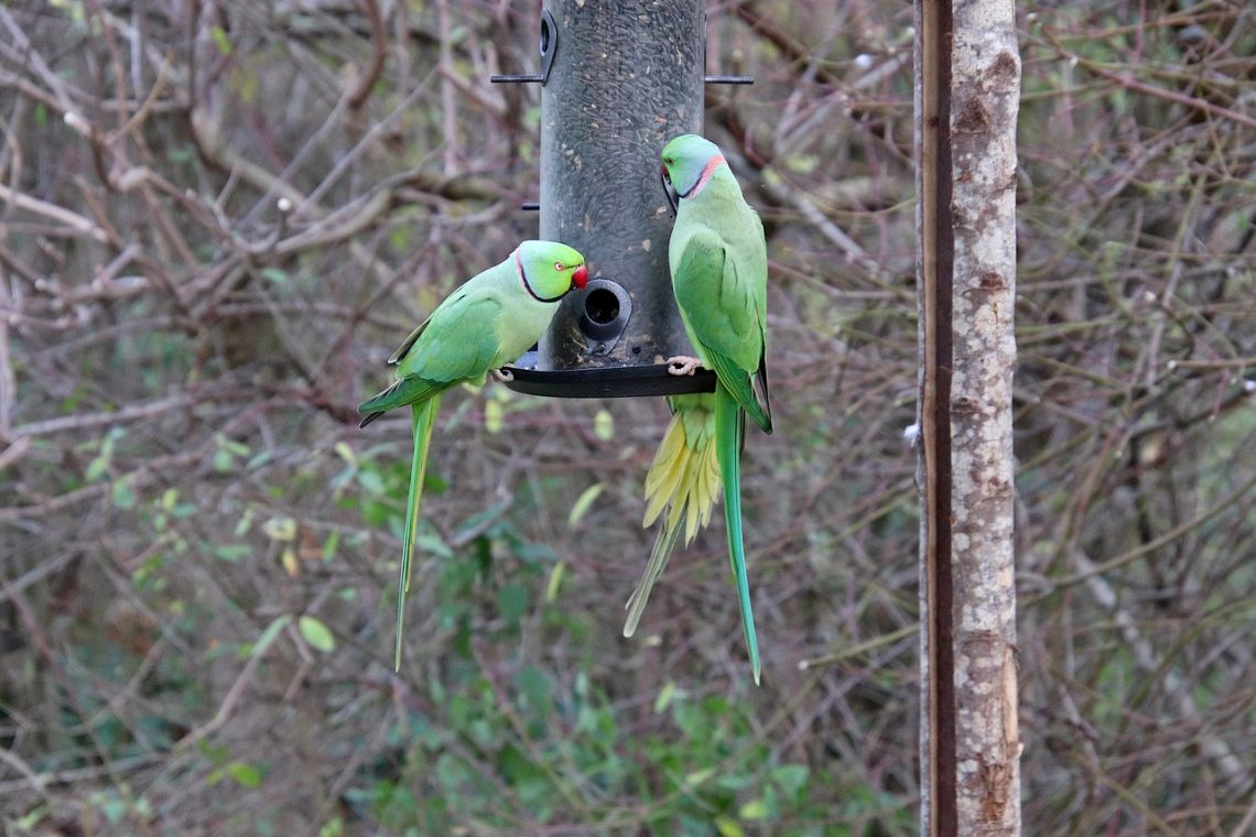 découvrez notre sélection des marques disparues, des trésors oubliés et des classiques intemporels qui ne sont plus produits.