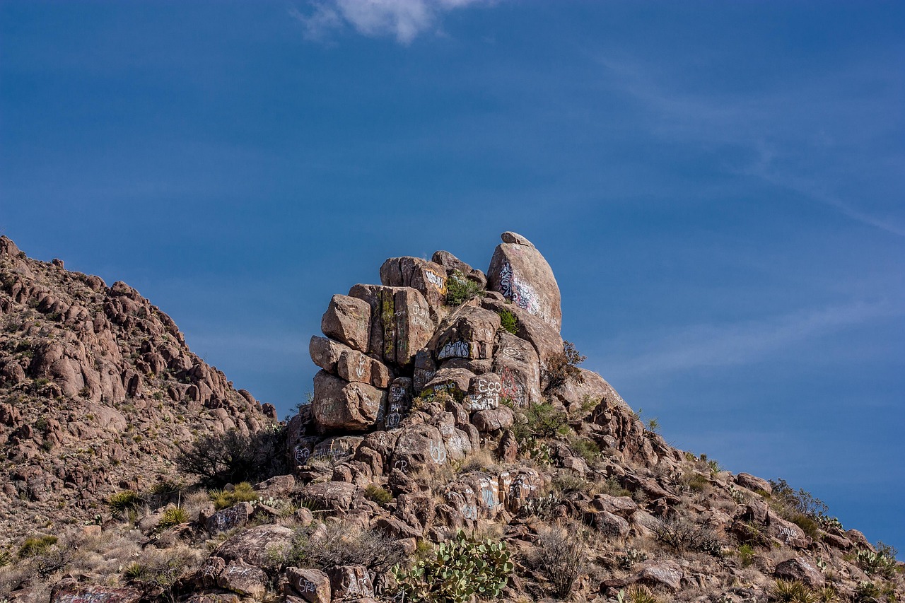 découvrez les exclusions commerciales au texas et comment elles impactent les entreprises locales. informez-vous sur les réglementations spécifiques pour optimiser votre activité.