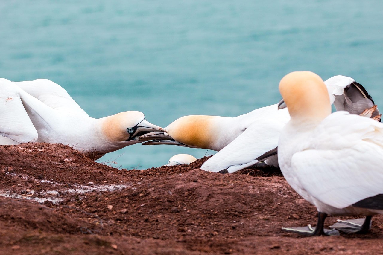 découvrez les causes, conséquences et solutions pour gérer efficacement une dispute et préserver vos relations.