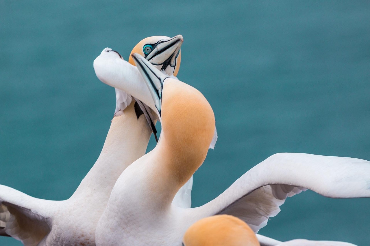 découvrez comment gérer et résoudre une dispute de manière constructive pour préserver vos relations et éviter les conflits inutiles.