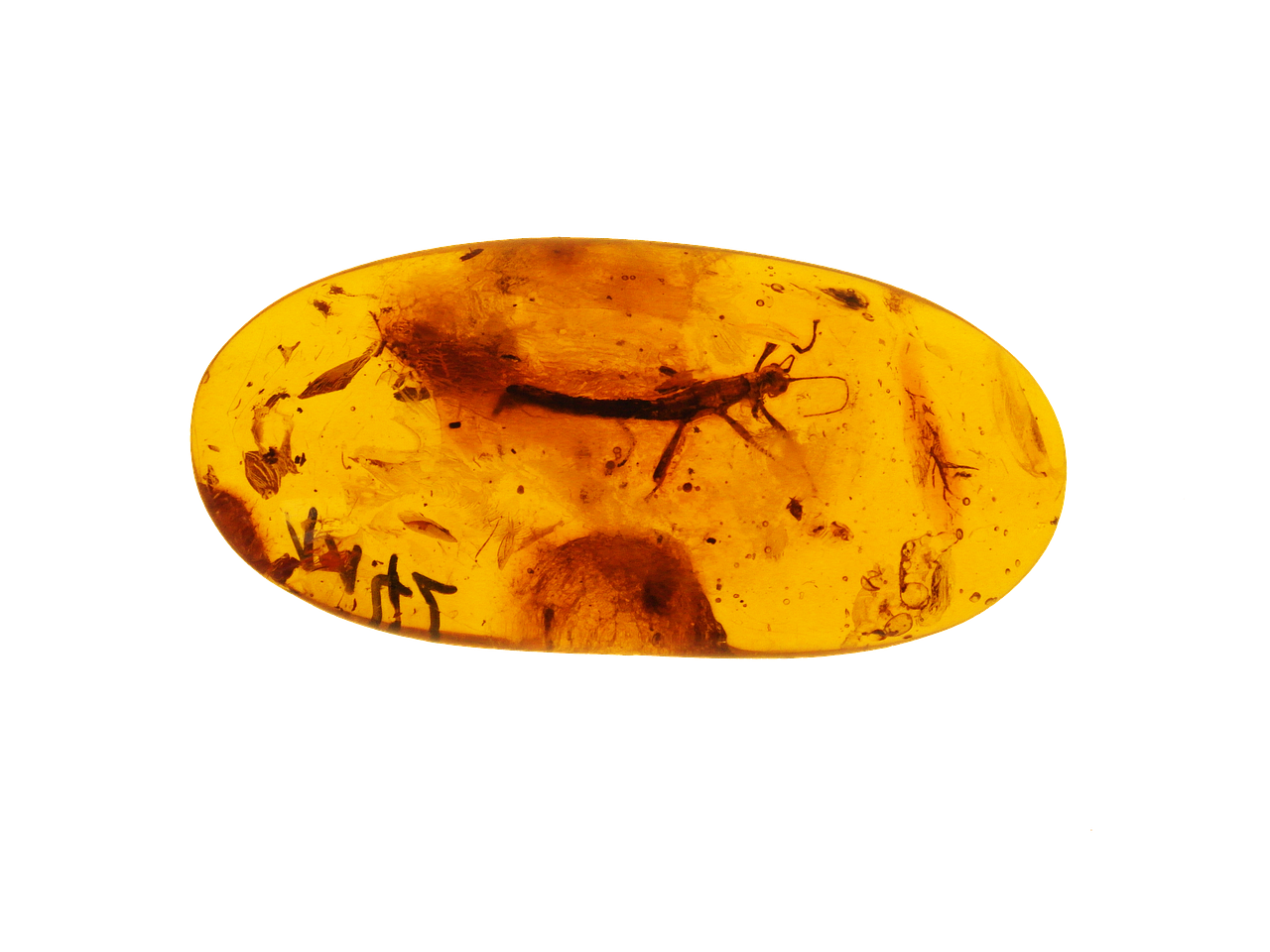 Articulaciones flexibles