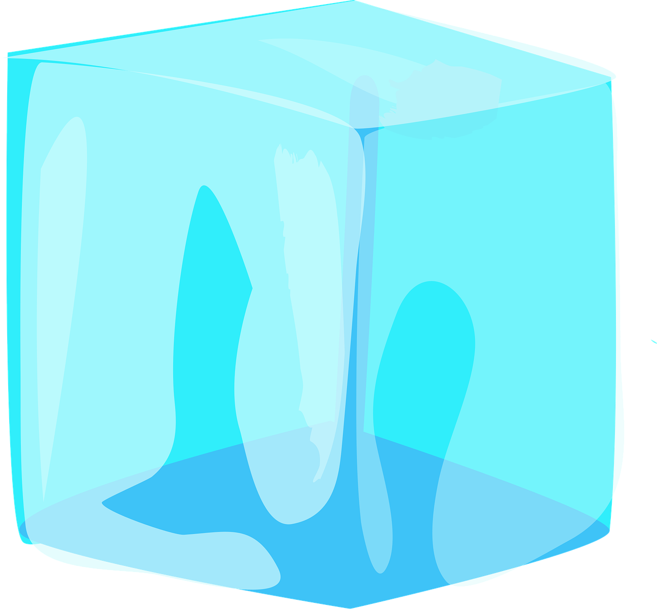 découvrez comment l'application des lois sur l'immigration affecte les entreprises somalies à minneapolis, avec un focus sur les mesures ice et leur impact local.