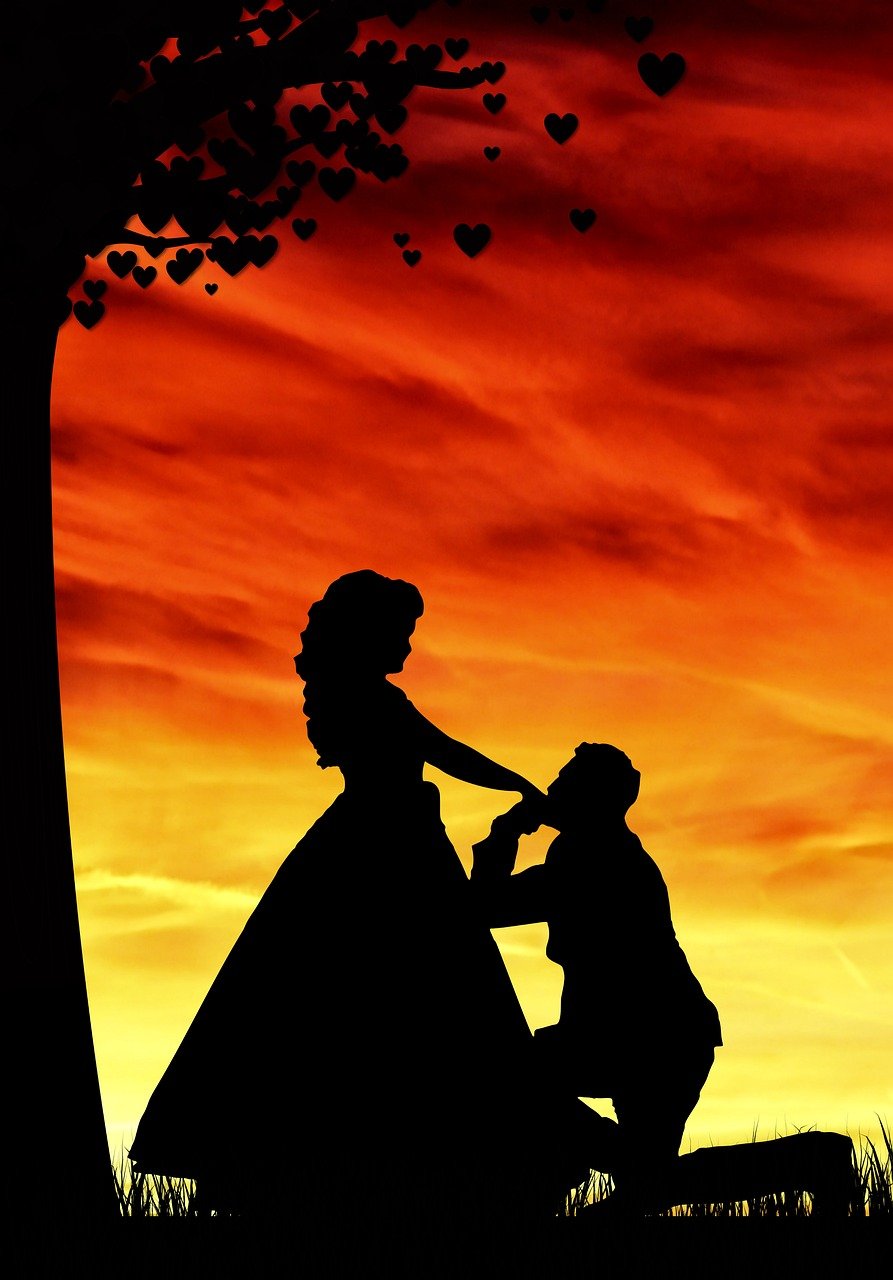 découvrez nos conseils et astuces pour organiser une demande en mariage inoubliable et pleine d'émotion. planifiez le moment parfait pour dire oui.