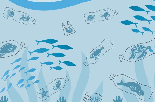 stockage illégal de déchets dangereux : risques, impacts et mesures de prévention pour protéger l'environnement et la santé publique.