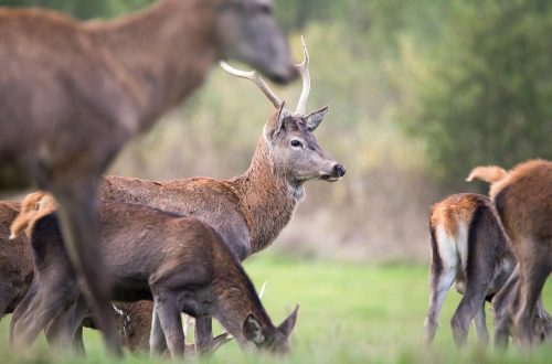 découvrez la chronologie complète de la relation entre latto et 21 savage, de leurs débuts à aujourd’hui.