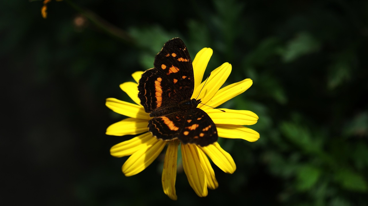 découvrez les tendances et opportunités du secteur résidentiel multifamilial, un marché en pleine croissance offrant des solutions de logement modernes et durables.