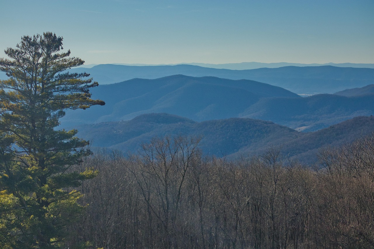 découvrez virginia, une destination riche en histoire, culture et paysages magnifiques. explorez ses attractions uniques et plongez dans une expérience inoubliable.