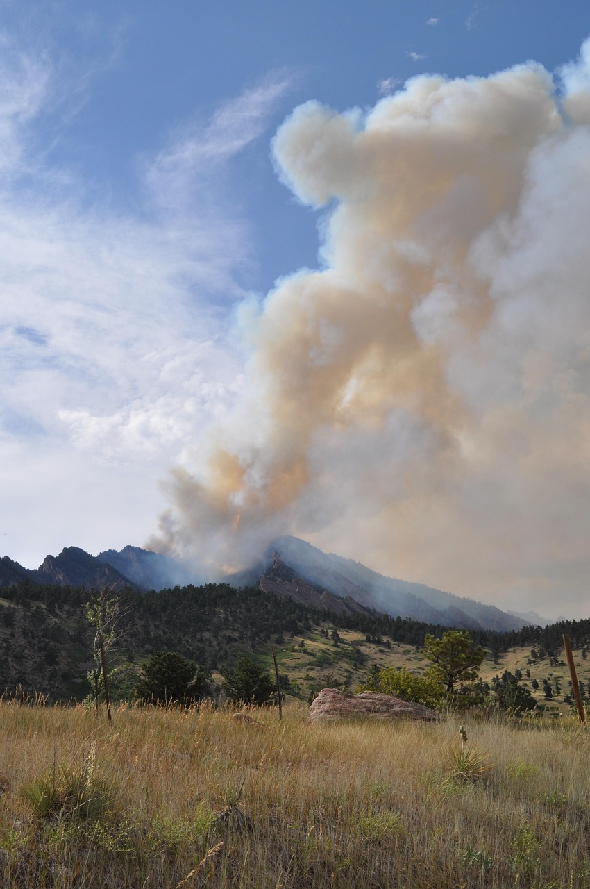 découvrez tout sur les feux de forêt : prévention, causes, impacts environnementaux et conseils pour se protéger face aux incendies sauvages.